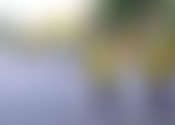 17th Annual Walk to End Homelessness