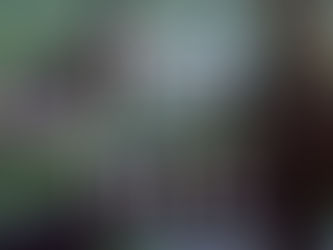 ConnectiCare Summertime Wellness Program: Yoga in Our City