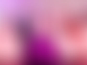 Puerto Rican Parade of Fairfield County Inc. Presents the 2018 Cultural Pageant Contestants, Dignita