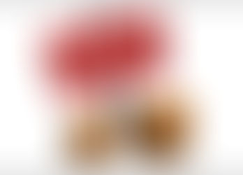 Information on Renters’ Rebate Program