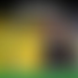 New Book by Julia Alvarez