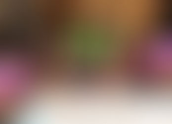 Free Family STEM Night Sponsored by Energize CT