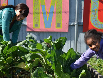 Become an Urban Farmer!