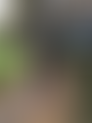 Introducing: Danae Powers Oboe Studio 