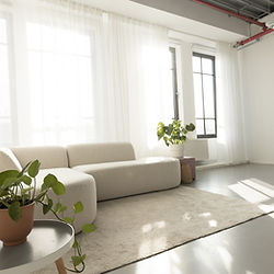 Bright studio space with sofa and plants