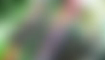 3/14 (Sat) ”The Psychedelic Trance Party" Kaleidoscope Vol.17