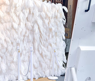 Witte veren backdrop