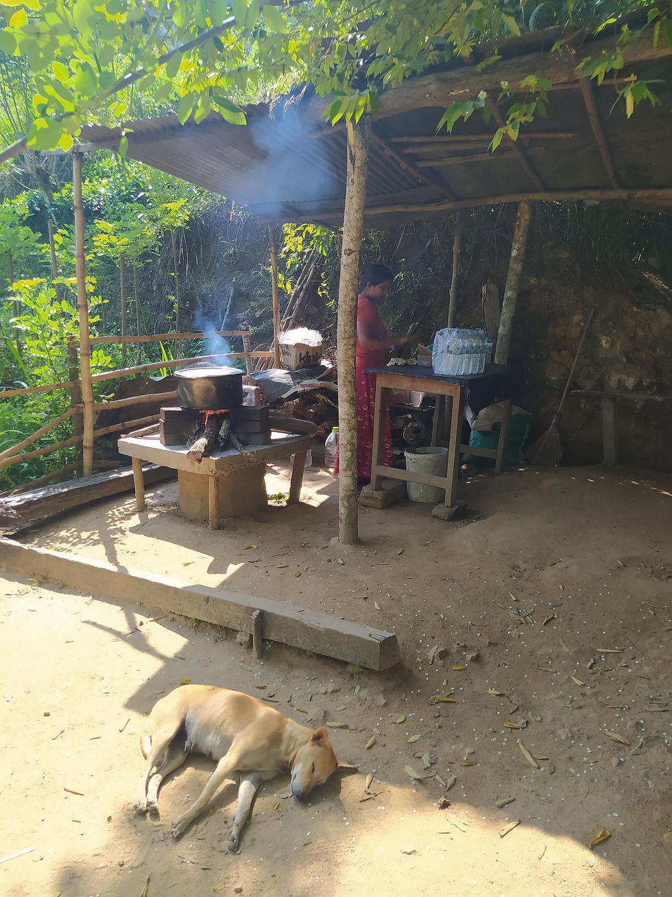 Mali kiosk u prirodi - ovde se kuva kukuruz, prave sokovi i prodaju turistima
