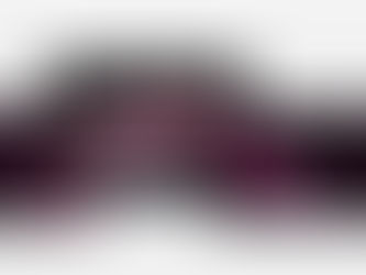 SpeedTrace Pro Free Download