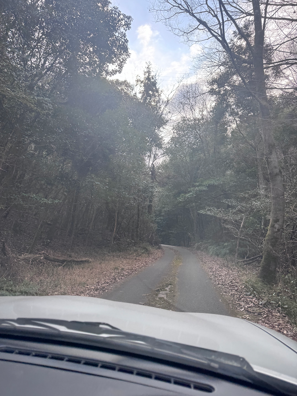 山道