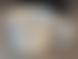 妻の購入したコーヒーカップ