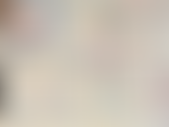 越境手段について解説しています