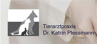 Walking In Gallery_edited.jpg