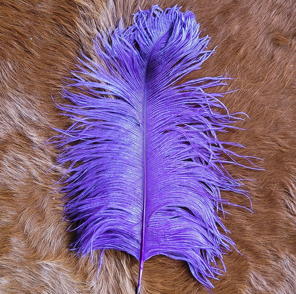 Thumbnail: Ceremony Plume Scribing Feathers Assorted Colors