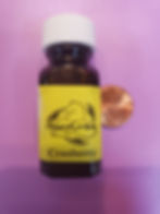 Thumbnail: Oil Essence - Cranberry Essence - 1/2 fl oz