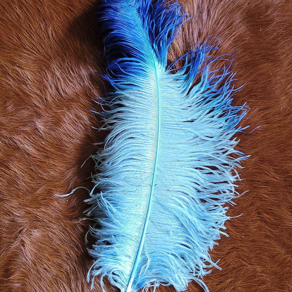 Thumbnail: Ceremony Plume Scribing Feathers Assorted Colors