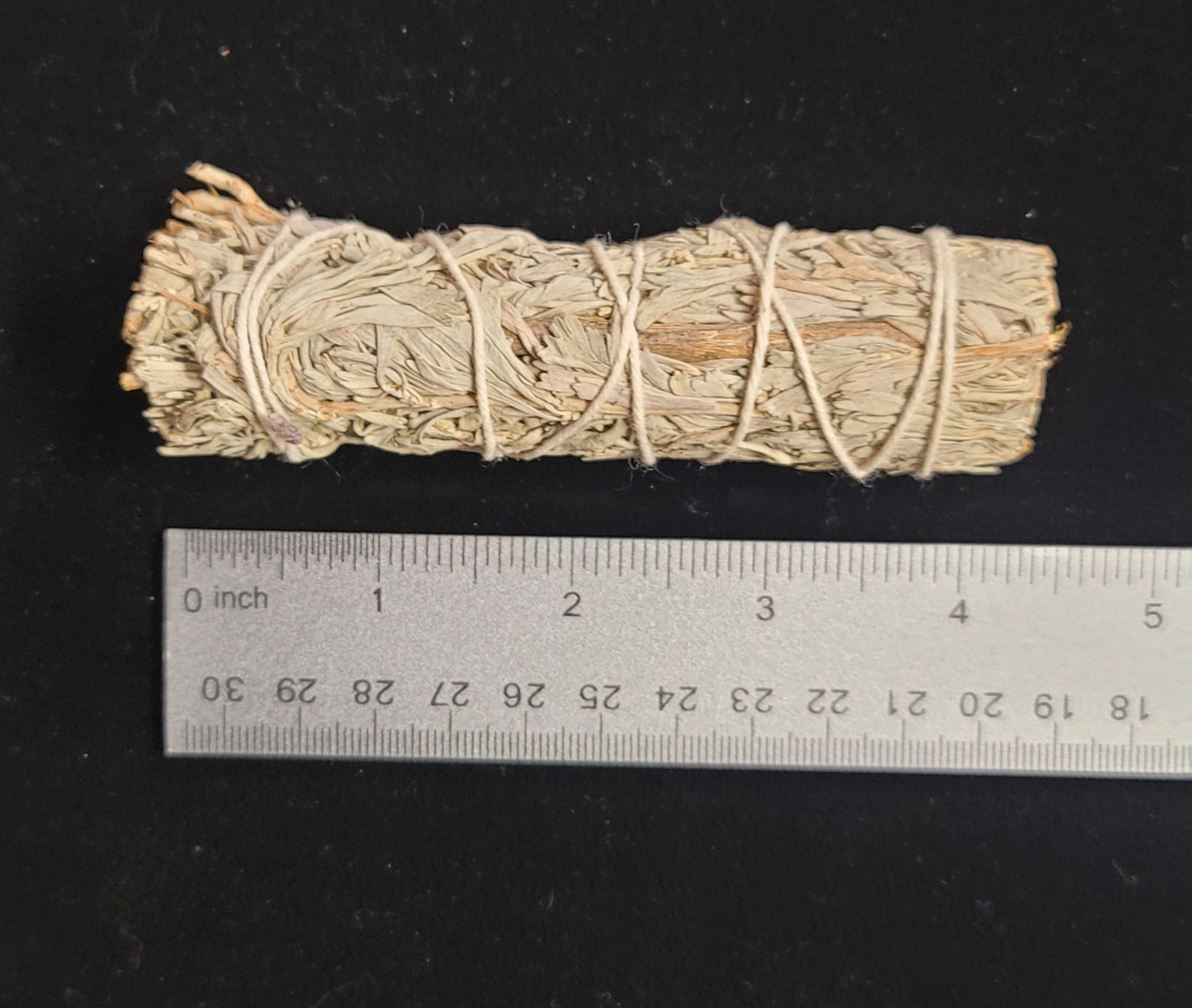 Blue Sage Bundle  - 4 1/2 Inches