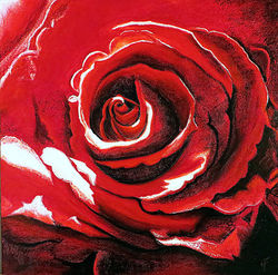 Rouge Coco