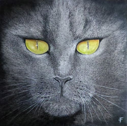 Majesté