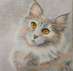 Bella
