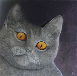 Pompon (50x50)