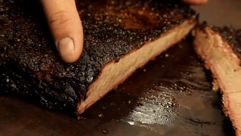 giphy brisket.gif