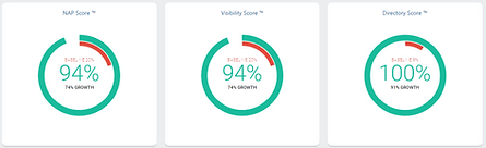 Online Visibility Score Example