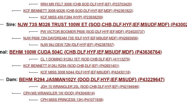 CUDA Pedigree.jpg