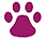 Logo PNG - Tara Pellegrino_edited_edited_edited_edited.png