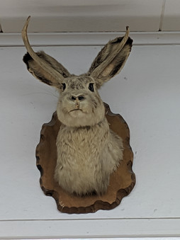 Prairie du Chien Jackalop