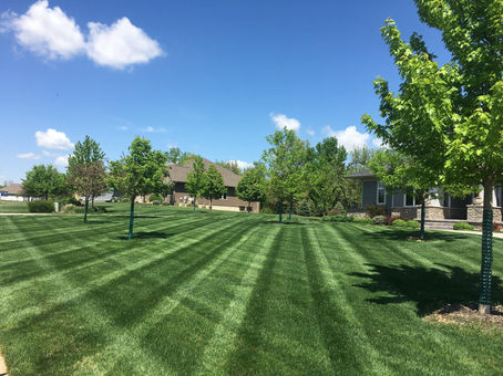 Steffens Lawn Care Solon Iowa.jpg