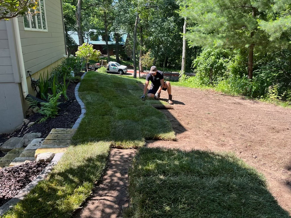 SK Prop employee Sod Installation.jpg