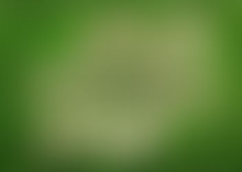 Enviromental Engineering Objective