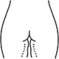 LIPOSCULTURA_B.png