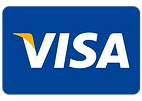 Visa_only (1).png
