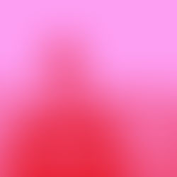 Forensic Architecture and the Power to See What the World Wants to Forget