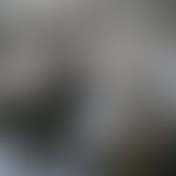 Women entrepreneurs in NL are more impact-oriented: their companies tackle more SDGs than companies