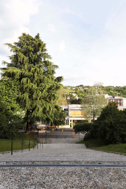 R-IMG_6408