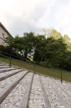 R-IMG_6428