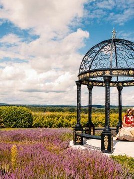 Why Are Asian Wedding Venues in the Midlands Becoming So Popular?