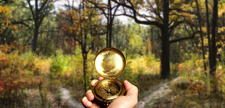 Navigating in Woods