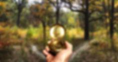 Navigating in Woods