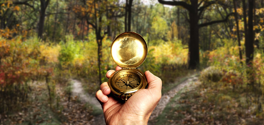 Navigating in Woods