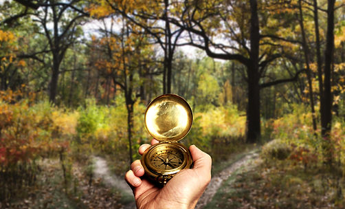 Navigeren in Woods
