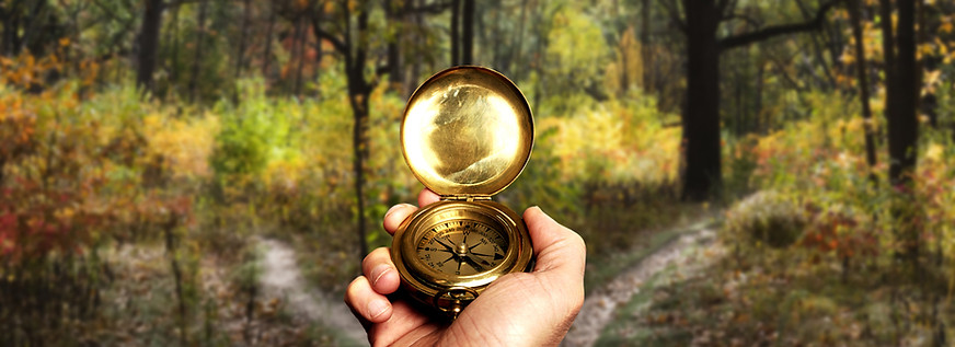 Navigation dans Woods