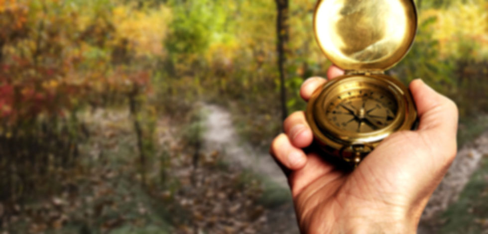 Navigating in Woods