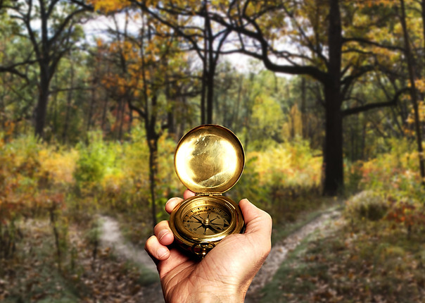 Navigating in Woods