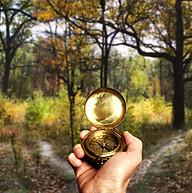 Navigieren in Woods
