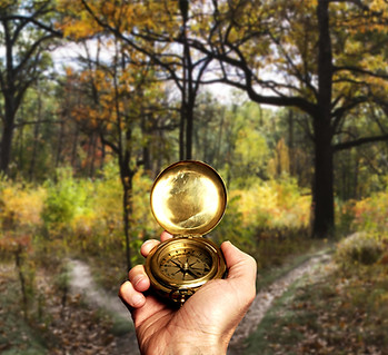 Navigating in Woods