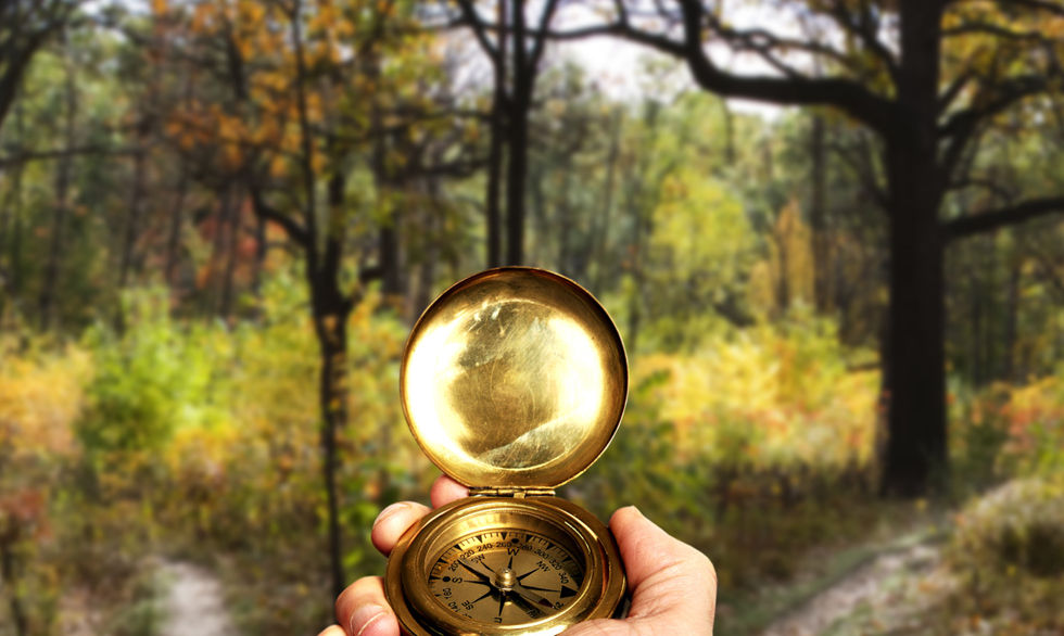Navigating in Woods